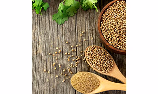 Coriander Seeds
