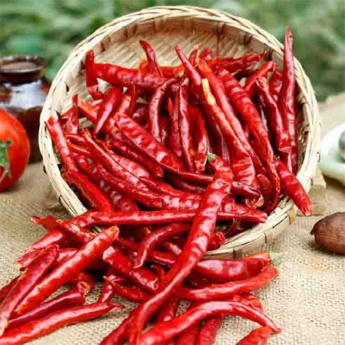 Dry Red Chilli-Jada1019