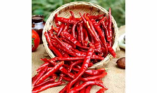 Dry Red Chilli
