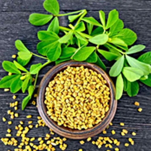 Fenugreek Seeds-Jada1023