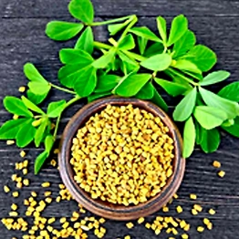 Fenugreek Seeds