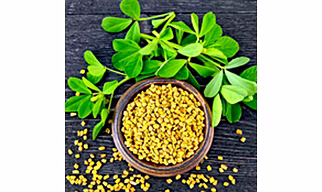 Fenugreek Seeds