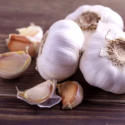 fresh garlic