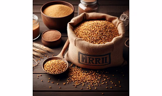 BARYNARD MILLET