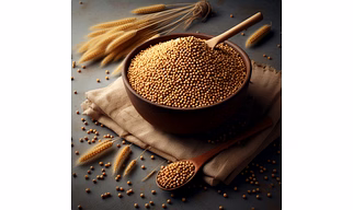 FOXTAIL MILLET