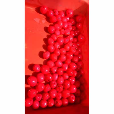 Cherries in Sugar Syrup, Produce of Srinagar, Kashmir, India-4