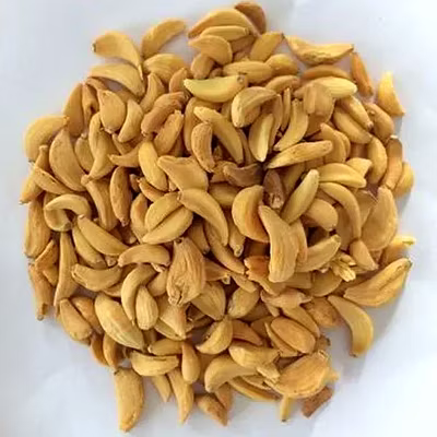 Dehydrated Vegetable &amp; Fruits-4