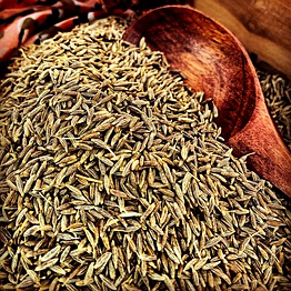 urvan earth - connecting nature cumin - bold - export quality