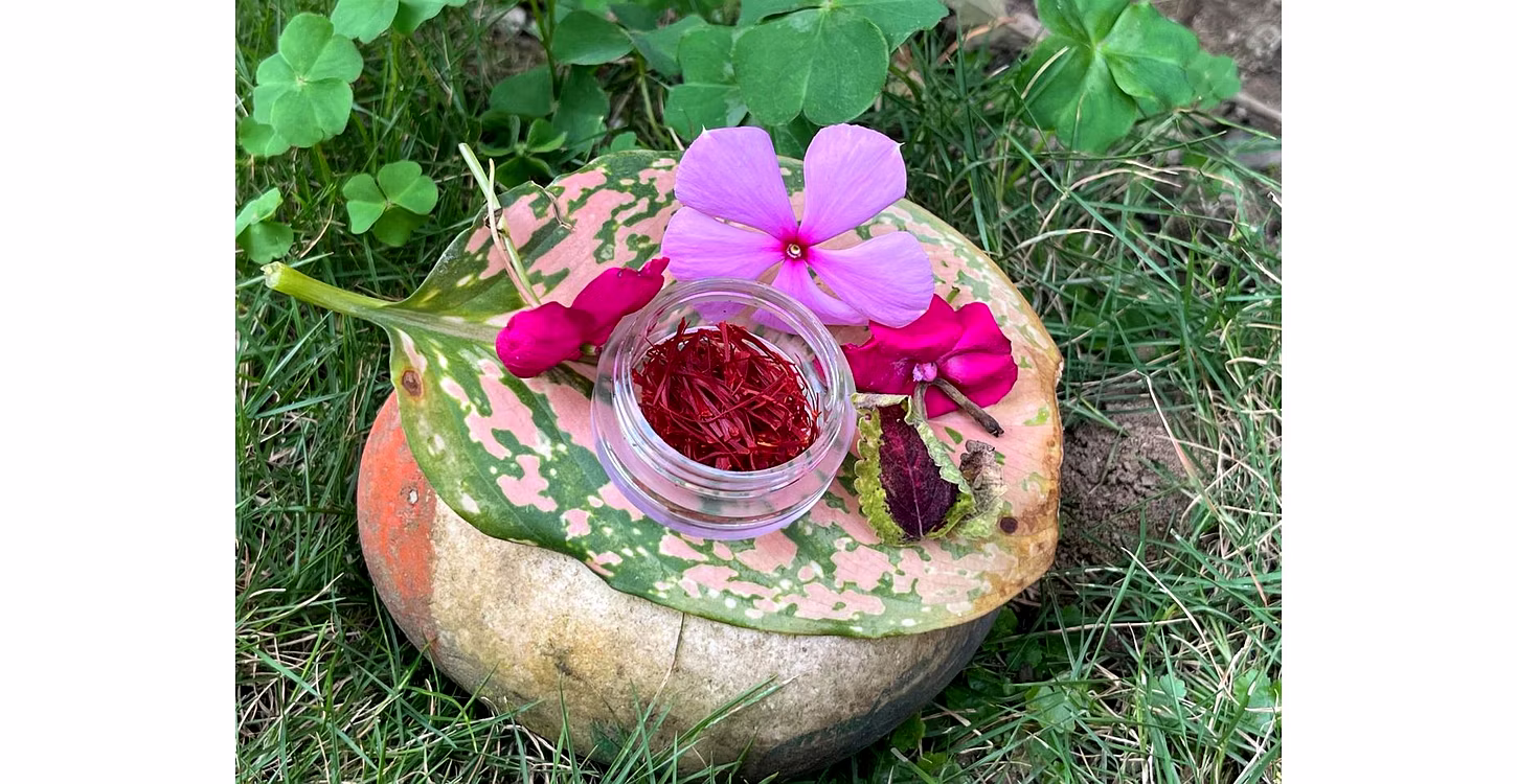 Authentic & Natural Kashmiri Mongra Saffron