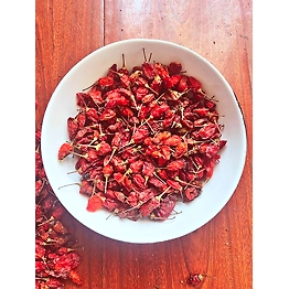 Urvan Earth - Connecting Nature Naga Chilli | Bhut Jolokia - Small