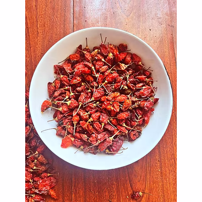 Naga Chilli | Bhut Jolokia - Small-3