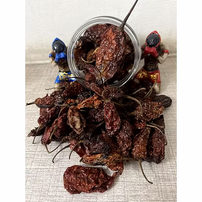 Bhut Jolokia | Naga Chilli | King Chilli | Raja Mircha - Large-1