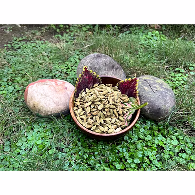 Green Cardamom - 7 MM-1