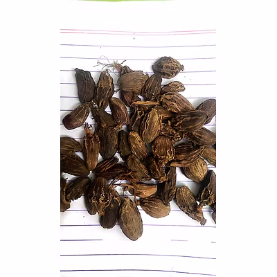Large Cardamom | Black Cardamom - Natural, chemical free-2