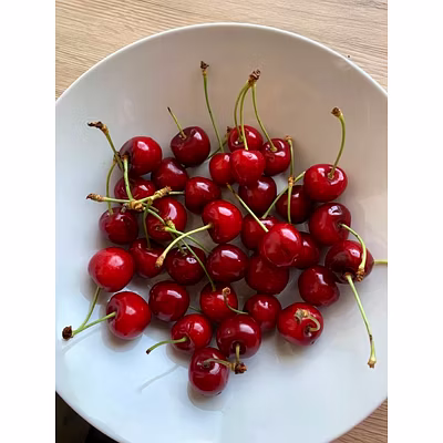 Cherries in Sugar Syrup, Produce of Srinagar, Kashmir, India-12313796