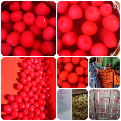 Cherries in Sugar Syrup, Produce of Srinagar, Kashmir, India-1