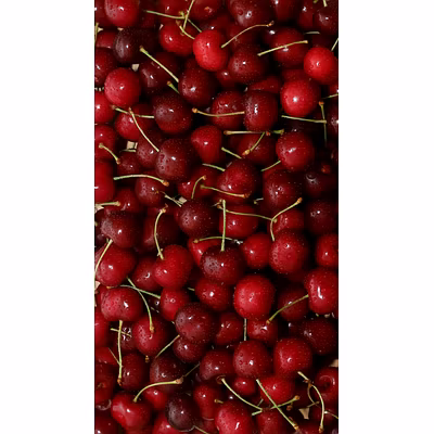 Cherries in Sugar Syrup, Produce of Srinagar, Kashmir, India-2