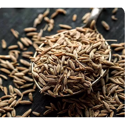 Cumin - Bold - export quality-1