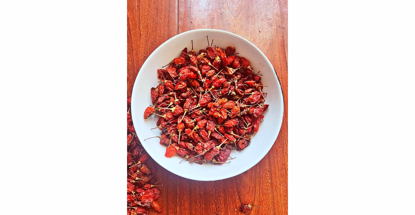 Naga Chilli - Small