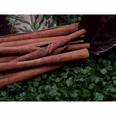 CINNAMOM CIGAR ROLLS, FLAKES &amp; STICKS(POLISHED &amp; UNPOLISHED)-12488272