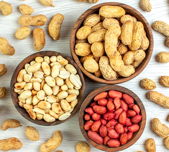 We procure best quality peanuts directly from farmers
