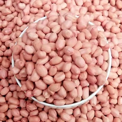 Java Peanuts-2