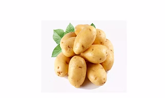 FRESH POTATO