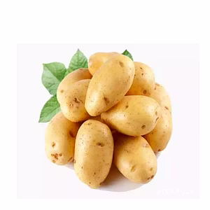 FRESH POTATO