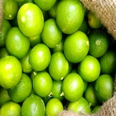 farm fresh lemon lemon