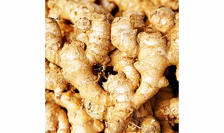 GINGER