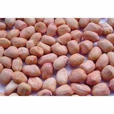 Groundnut Peanut Bold 50/60-2