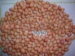 Groundnut Peanut Bold 50/60-1