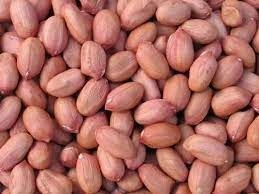 Groundnut Peanut Bold 50/60-12380480