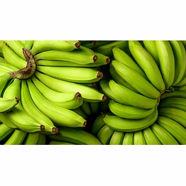 jalgaon farm fresh bananas a grade g9 cavendish banana