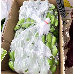 A Grade Green Banana