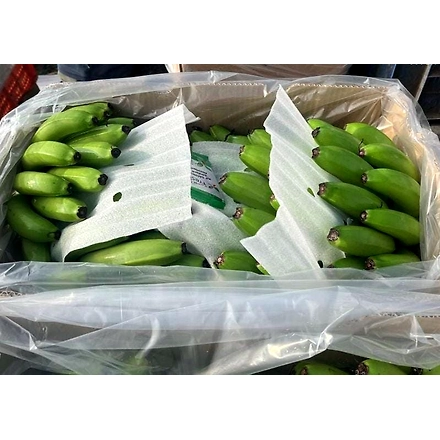 A Grade Green Banana-2