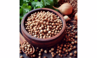 CORIANDER SEED