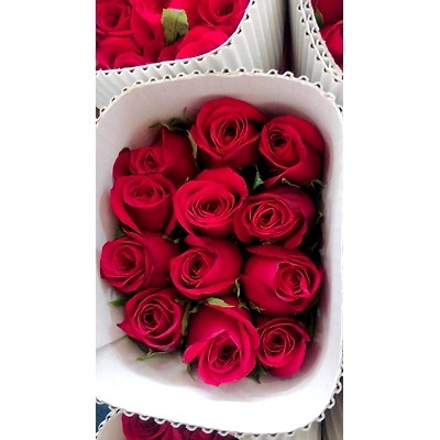 Fresh Cut Roses-12311102
