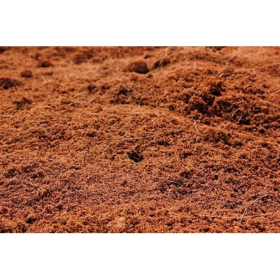 COCO PEAT-2