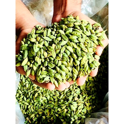 Cardamom-12311480