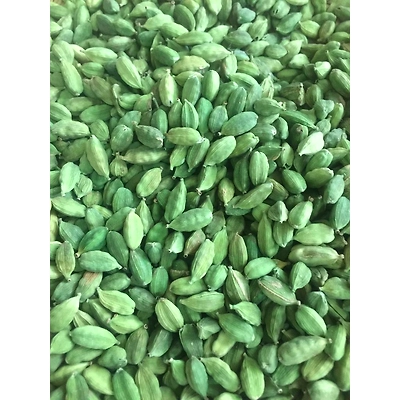 Cardamom-1