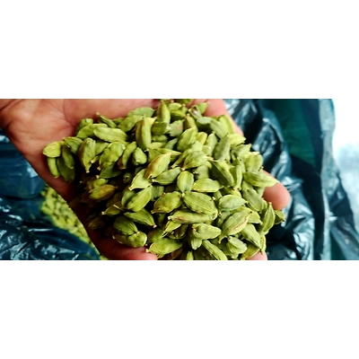 Cardamom-2