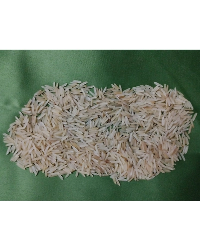 552 biryani sella-1