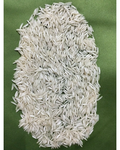 BASMATI 1509-12330598