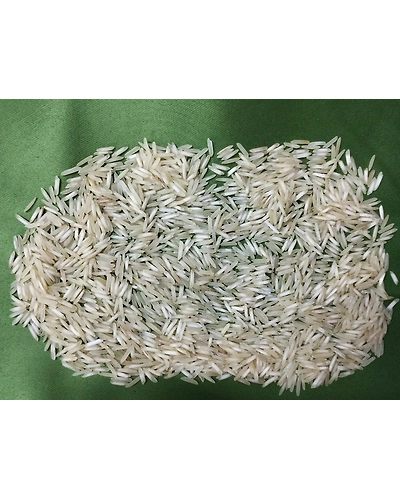 BASMATI 1509-1