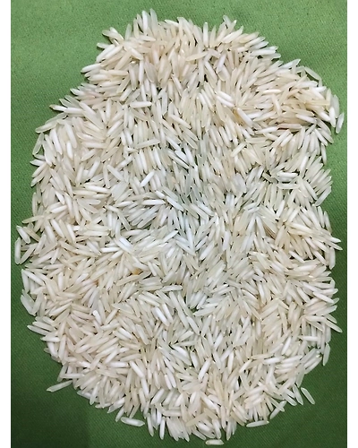 BASMATI 1509-2