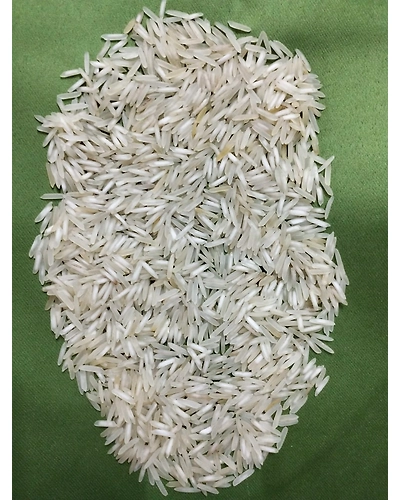 BASMATI 1509-3