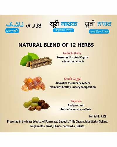Uri Nashak Ayurvedic supplement for Uric Acid-1
