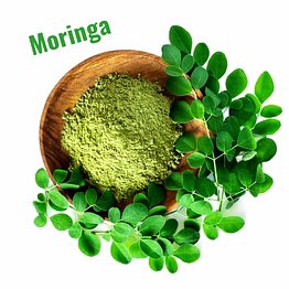 moringa leaf powder - superfood supplement for immune support & vitality