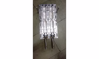 PET Blow Mold